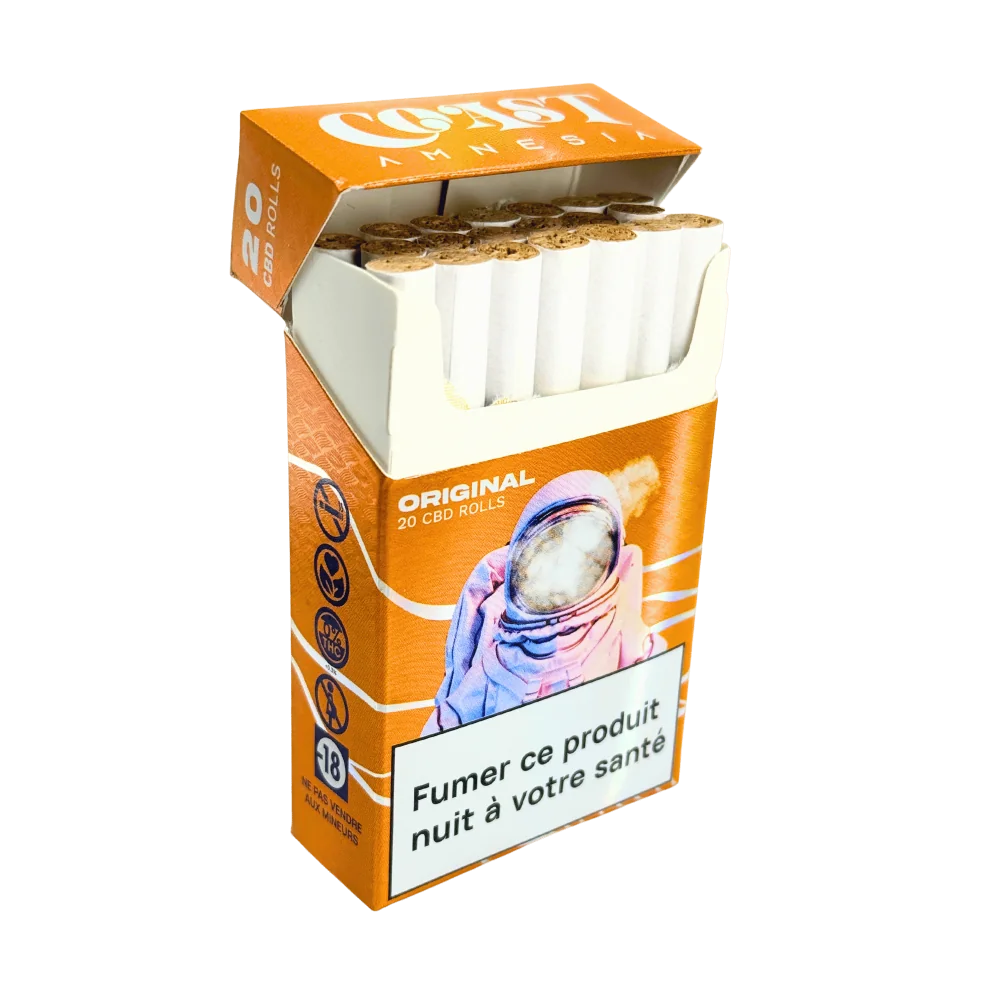 Coast Amnésia – Image 2